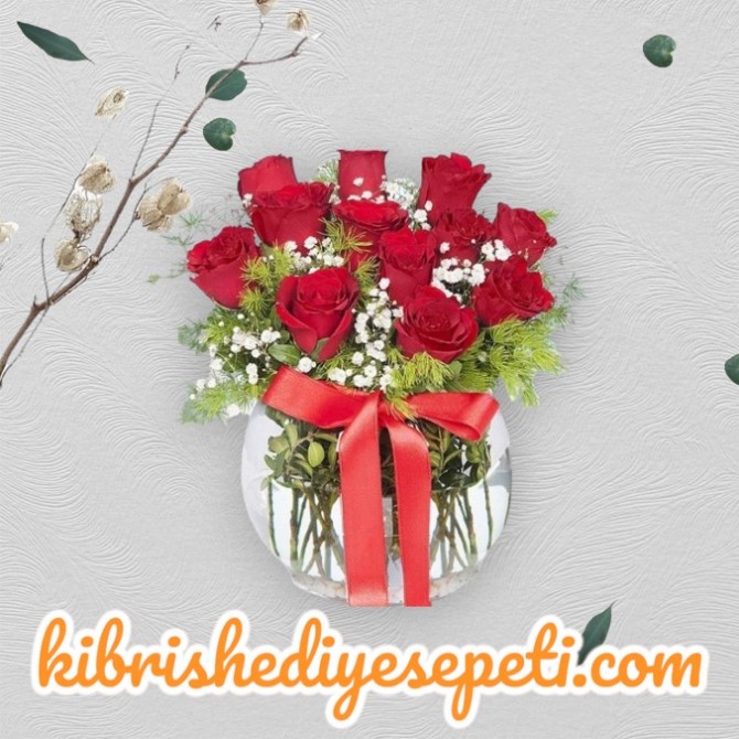Fanusta 12 Kırmızı Gül Fanusta 12 Kırmızı Gül