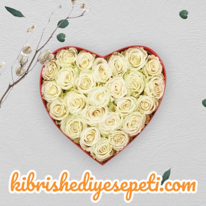 Kalpte 27 Beyaz Gül Kalpte 27 Beyaz Gül