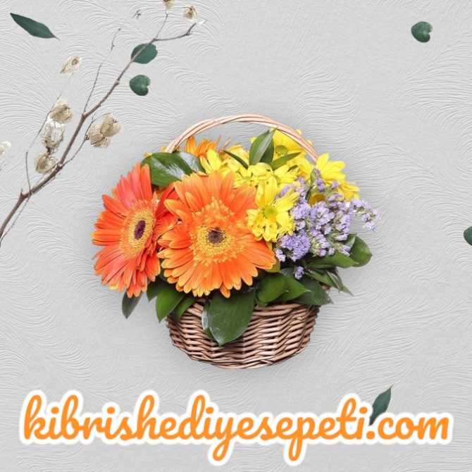 Gerbera Krizantem Sepeti Gerbera Krizantem Sepeti