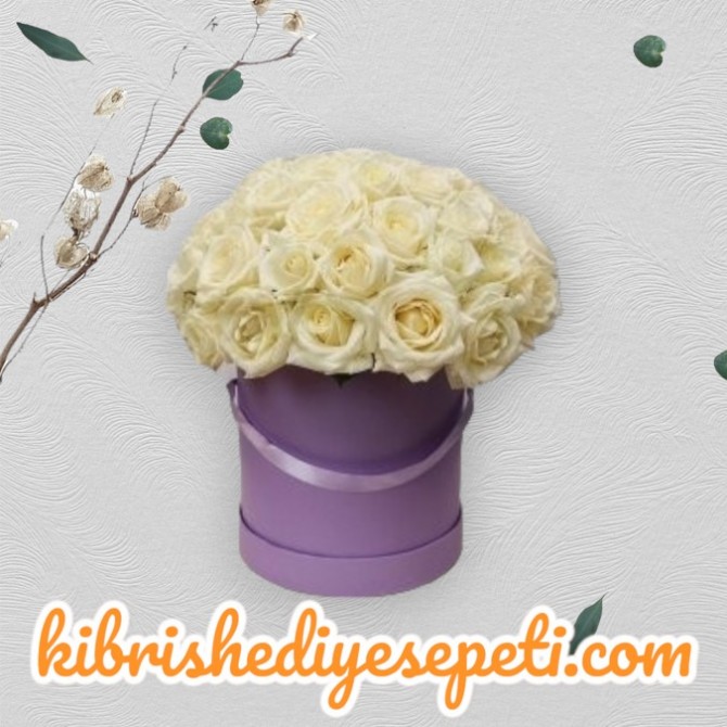 Kutuda 21 Beyaz Gül Kutuda 21 Beyaz Gül