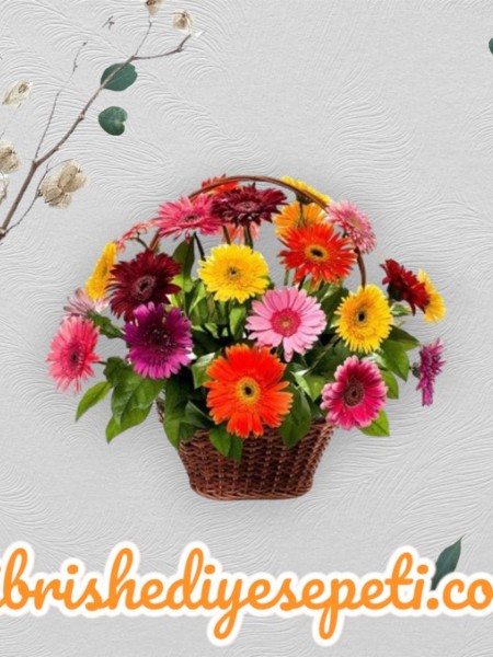 Renkli Gerbera Sepeti