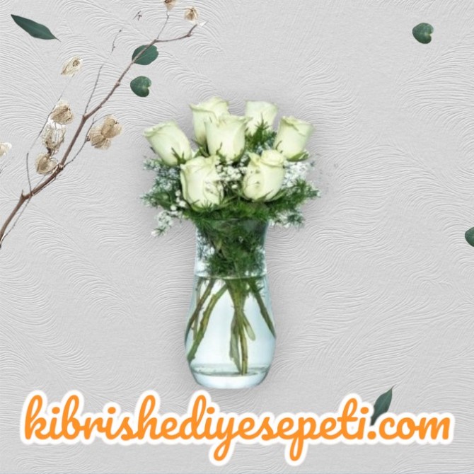 Vazoda 7 Beyaz Gül Vazoda 7 Beyaz Gül