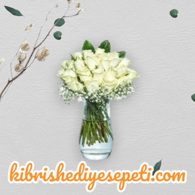 Vazoda 25 Beyaz Gül Vazoda 25 Beyaz Gül