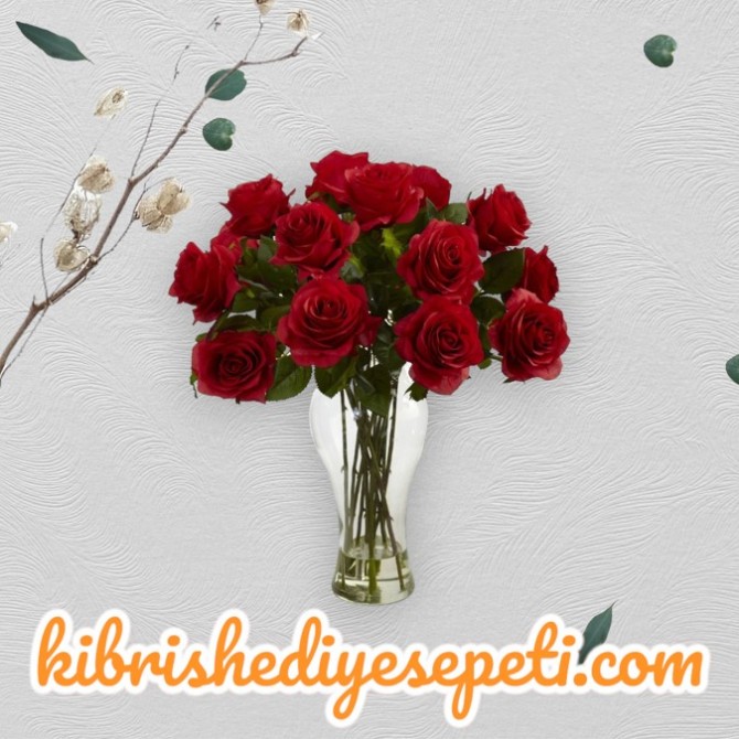 Vazoda 13 Kırmızı Gül Vazoda 13 Kırmızı Gül