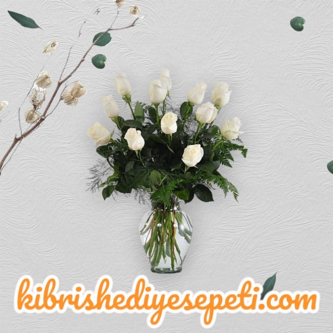 Vazoda 13 Beyaz Gül Vazoda 13 Beyaz Gül