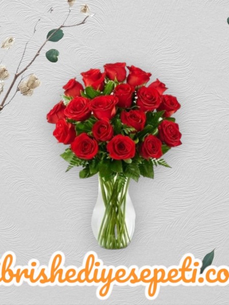 Vazoda 19 Kırmızı Gül