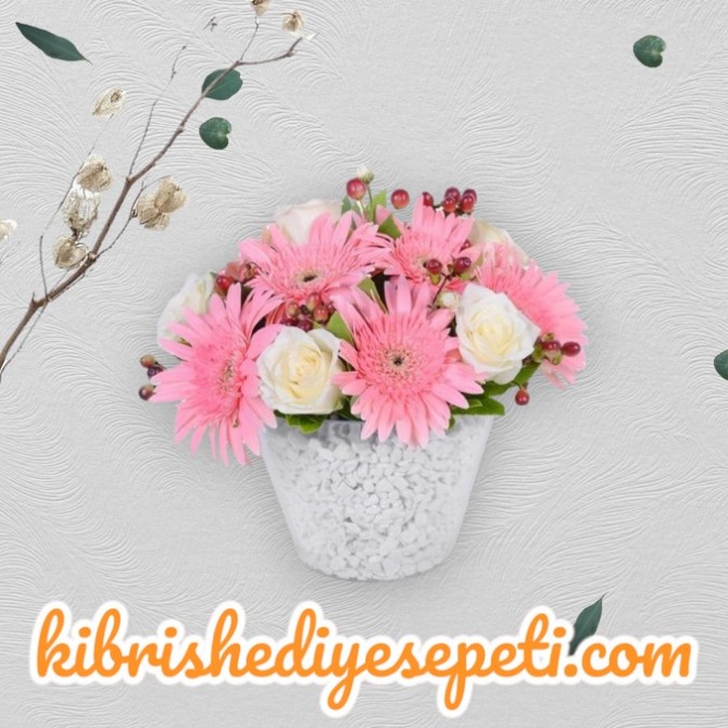 Seramikte 5 Beyaz Gül ve Gerbera Seramikte 5 Beyaz Gül ve Gerbera