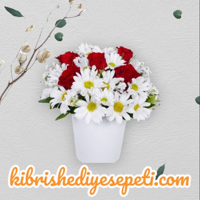 Seramikte 5 Kırmızı Gül Ve Papatyalar Seramikte 5 Kırmızı Gül Ve Papatyalar