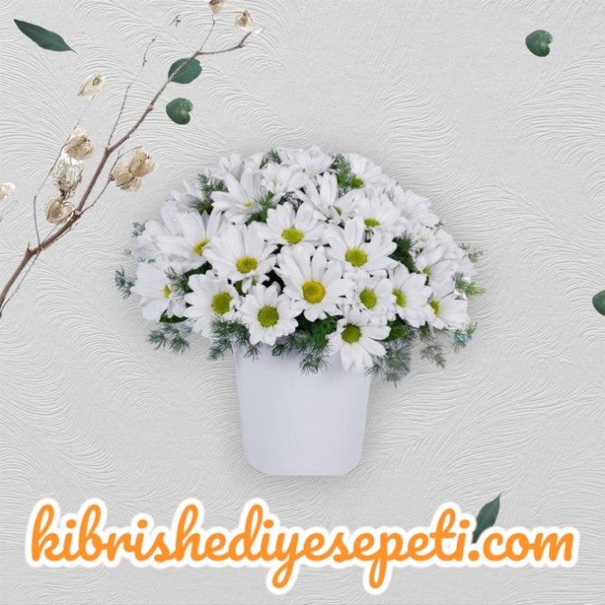 Seramikte Papatya Seramikte Papatya