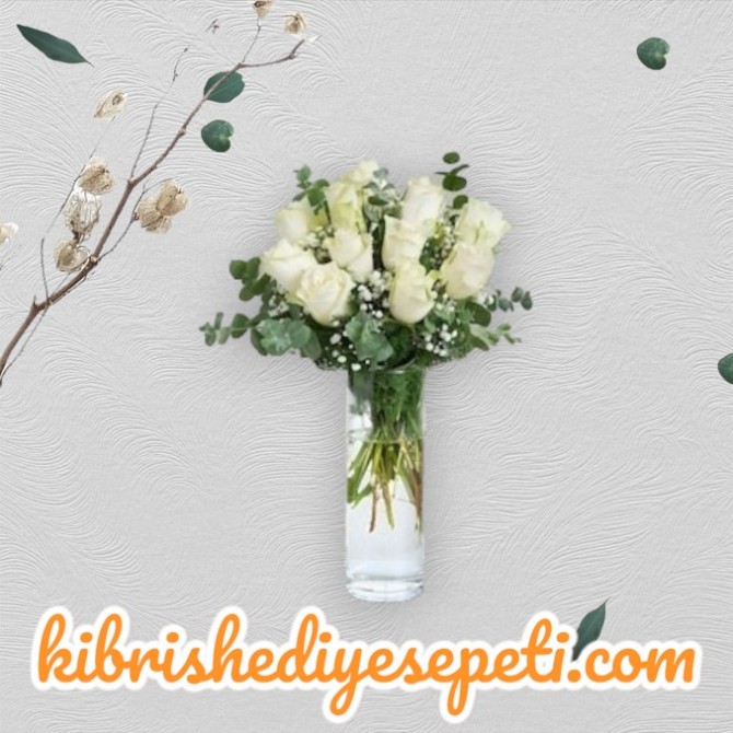 Vazoda 11 Beyaz Gül Vazoda 11 Beyaz Gül