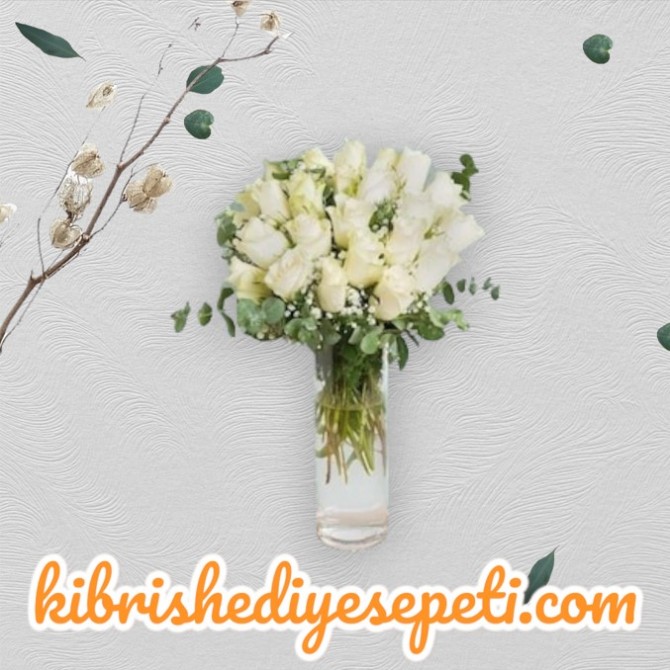 Vazoda 15 Beyaz Gül Vazoda 15 Beyaz Gül