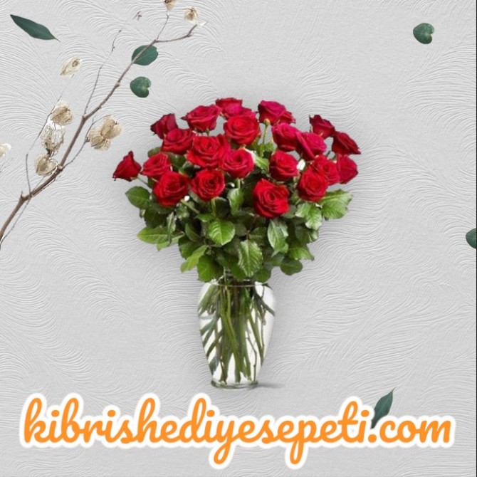 Vazoda 25 Kırmızı Gül Vazoda 25 Kırmızı Gül