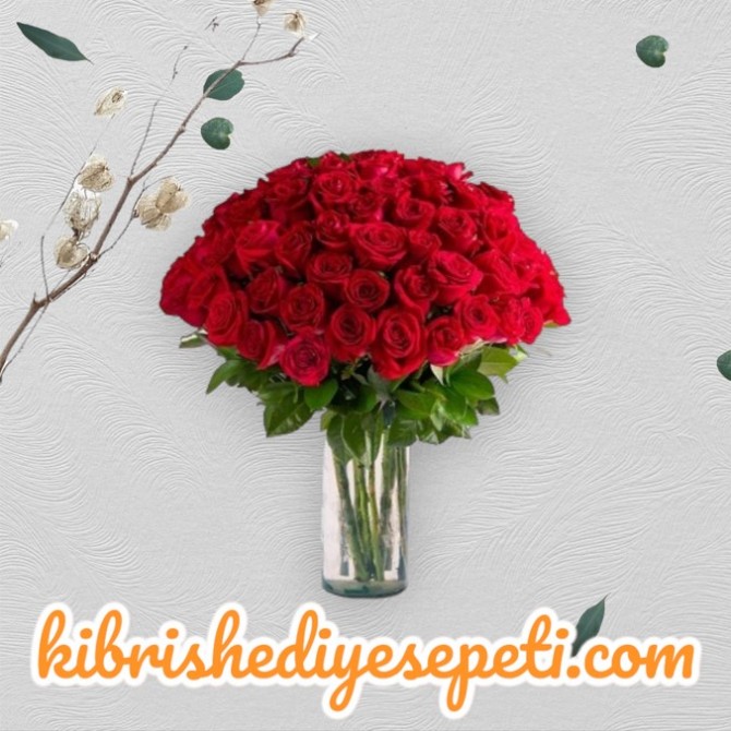 Vazoda 80 Kırmızı Gül Vazoda 80 Kırmızı Gül
