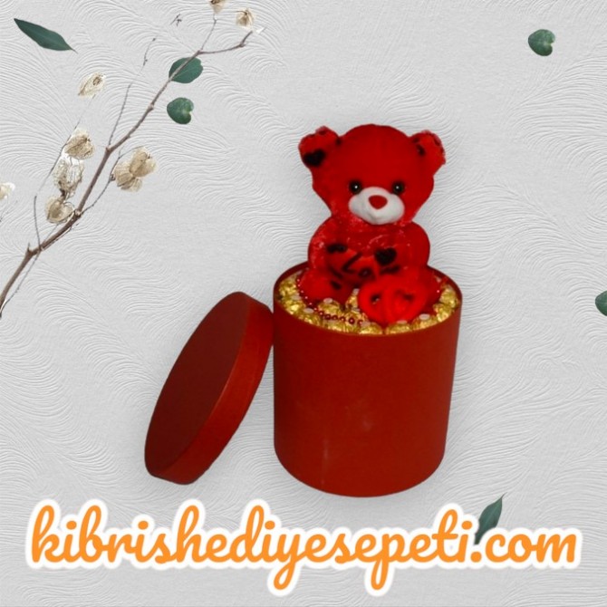 Büyük Boy Silindir Kutuda 1 Büyük Ayıcık ve 15 Çikolata Büyük Boy Silindir Kutuda 1 Büyük Ayıcık ve 15 Çikolata