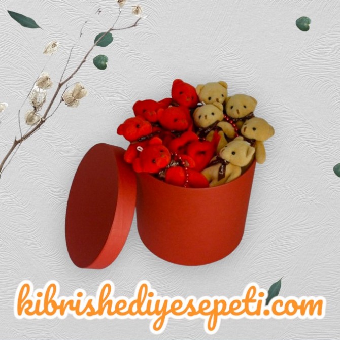 Büyük Boy Silindir Kutuda 10 Ayıcık Büyük Boy Silindir Kutuda 10 Ayıcık