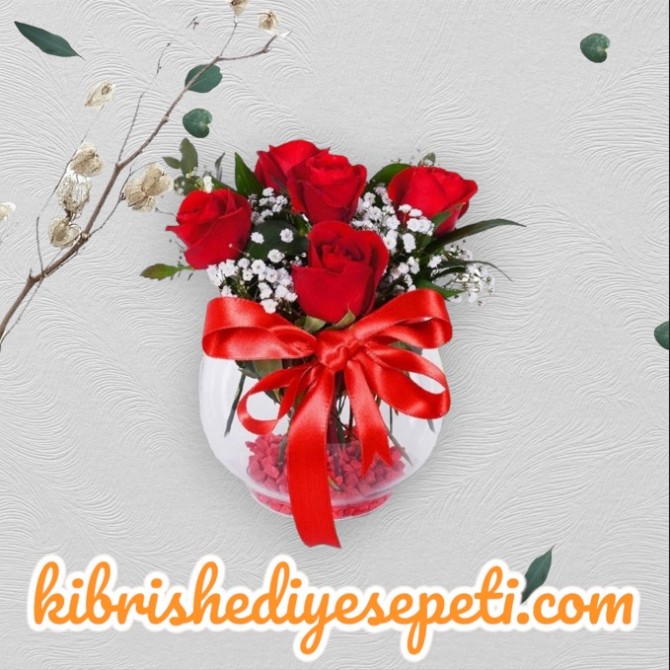 Akvaryumda 5 Kırmızı Gül Akvaryumda 5 Kırmızı Gül