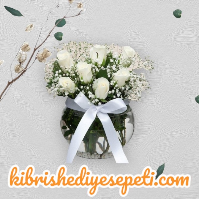 Akvaryumda 7 Beyaz Gül Akvaryumda 7 Beyaz Gül