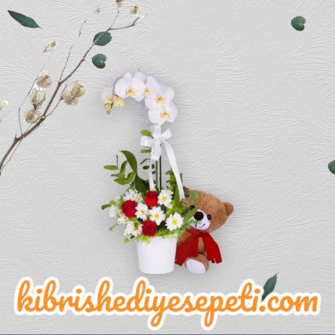 Çift Dal Beyaz Orkide 3 Kırmızı Gül Papatya Ve Ayıcık Aranjmanı Çift Dal Beyaz Orkide 3 Kırmızı Gül Papatya Ve Ayıcık Aranjmanı