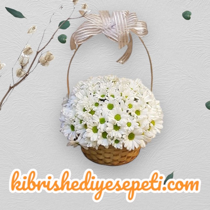 Sepette Papatya Sepette Papatya