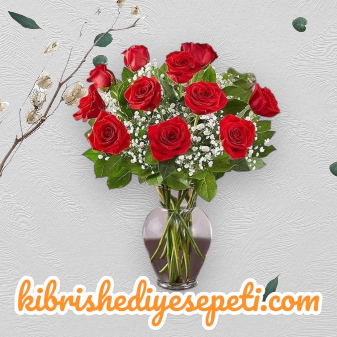 Vazoda 11 Kırmızı Güller Vazoda 11 Kırmızı Güller