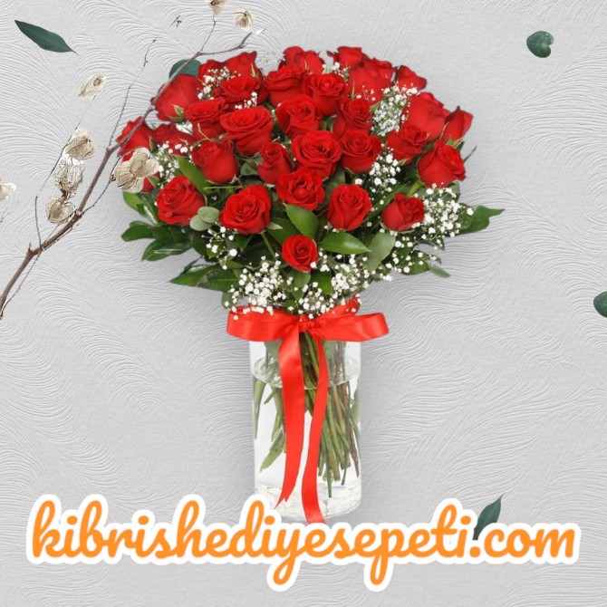 Vazoda 33 Kırmızı Gül Vazoda 33 Kırmızı Gül