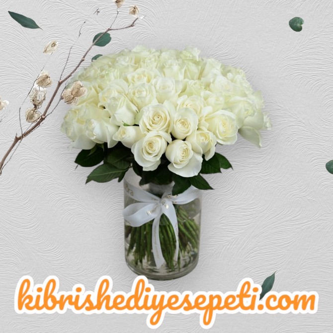 Vazoda 51 Beyaz Gül Vazoda 51 Beyaz Gül