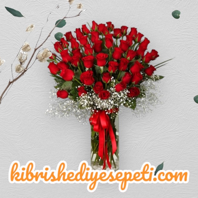 Vazoda 51 Kırmızı Gül Vazoda 51 Kırmızı Gül