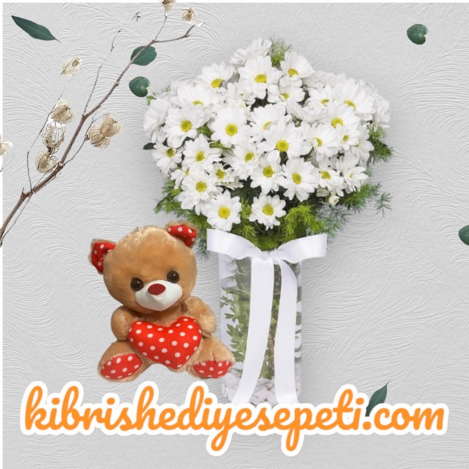 Vazoda Papatya Ve Ayıcık Vazoda Papatya Ve Ayıcık