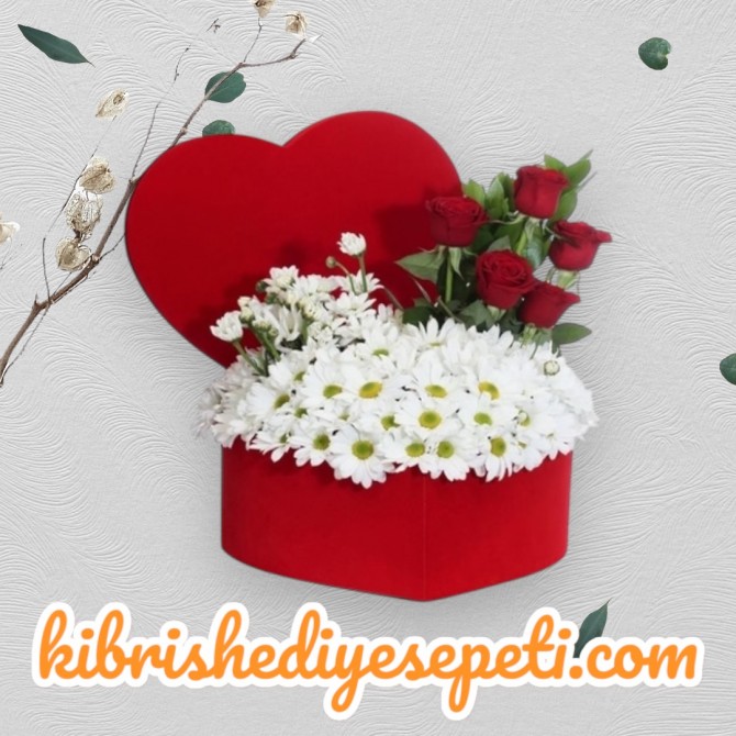 Kalpte 5 Kırmızı Gül ve Papatya Kalpte 5 Kırmızı Gül ve Papatya