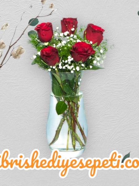 5 Kırmızı Gül Vazosu